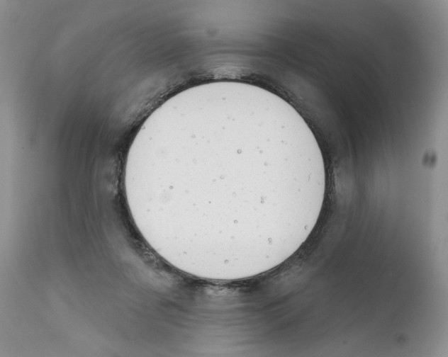 X0000111670311200908281117