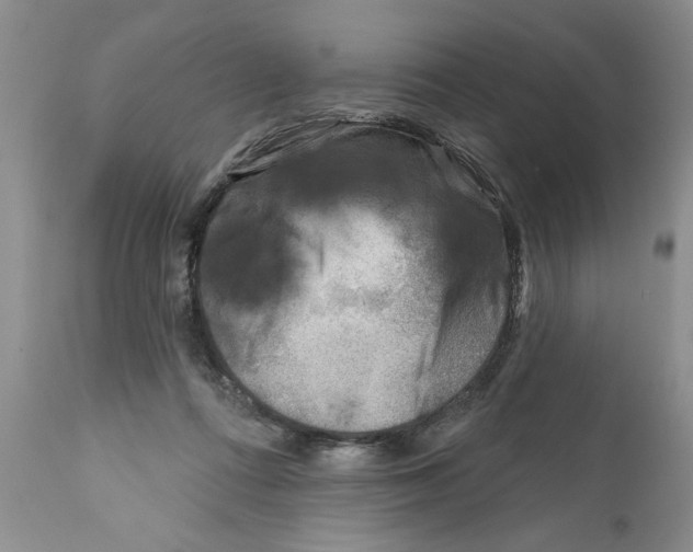 X0000111670312200908281117