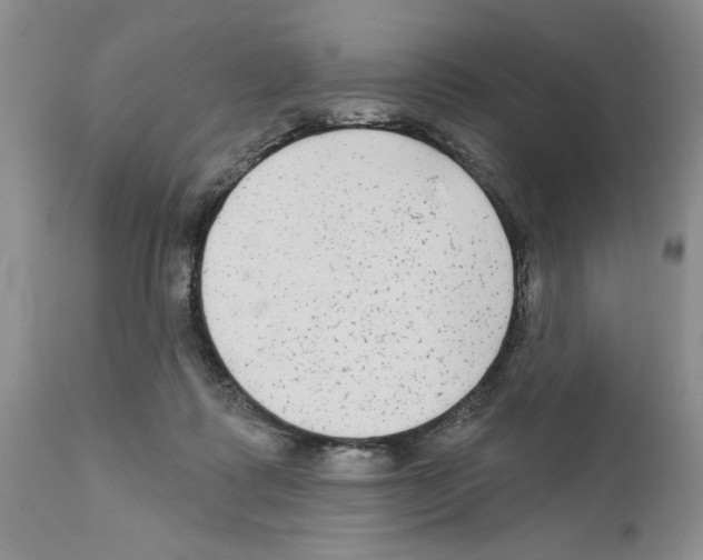 X0000111670315200908281117