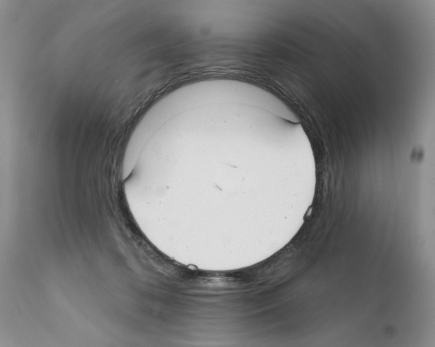 X0000111670316200908281117