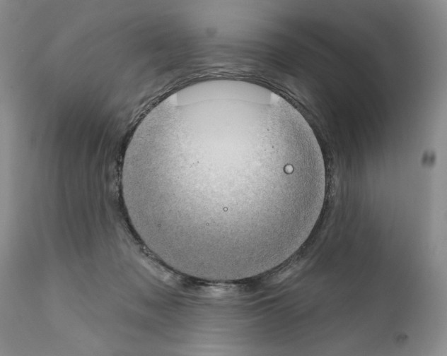 X0000111670317200908281117