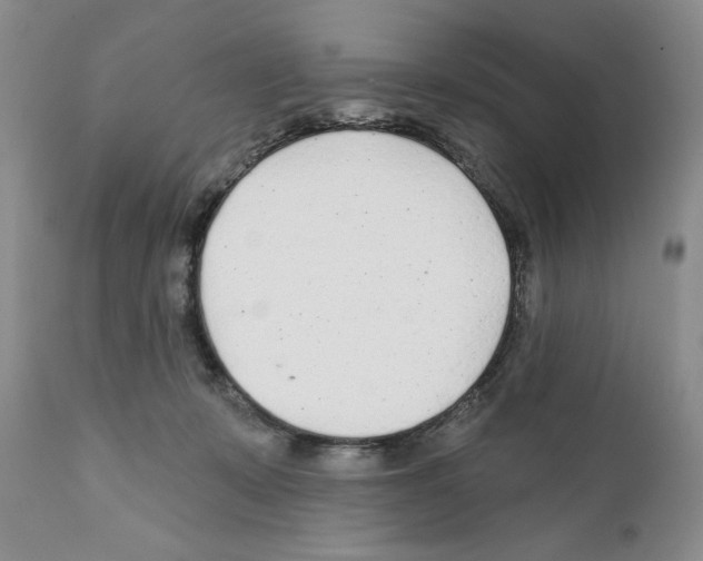 X0000111670319200908281117