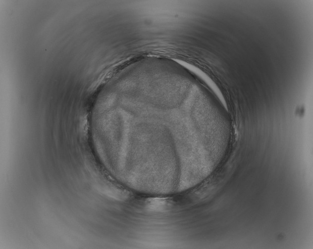 X0000111670320200908281117