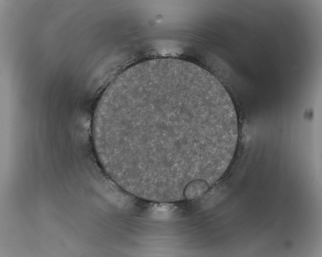 X0000111670321200908281117