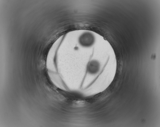 X0000111670324200908281117