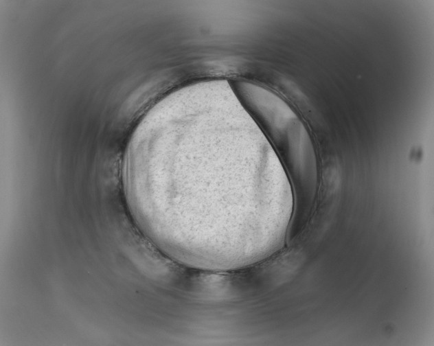 X0000111670325200908281117