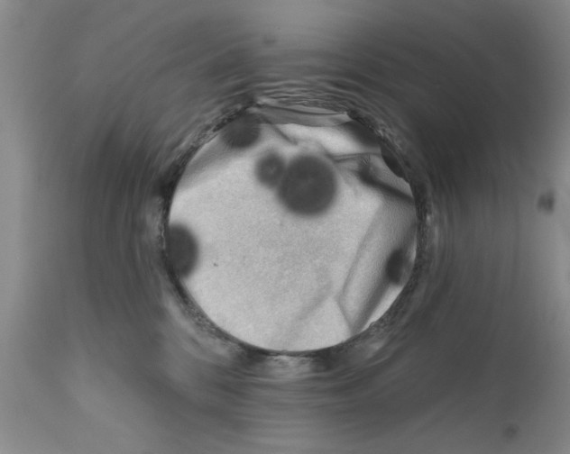 X0000111670328200908281117