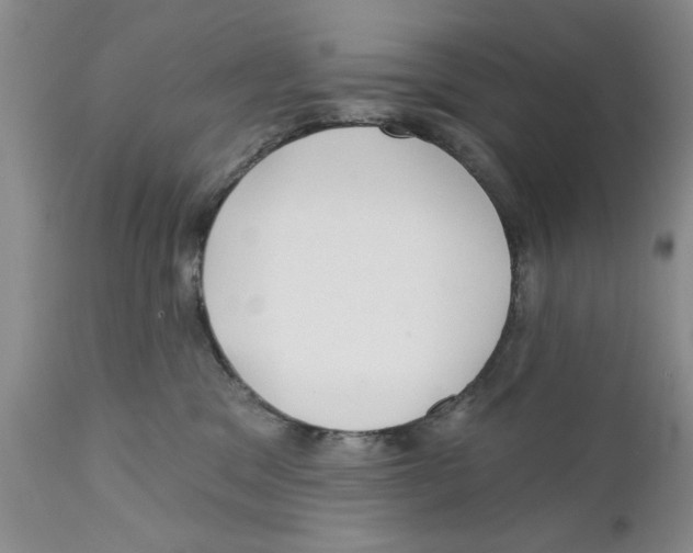 X0000111670329200908281117