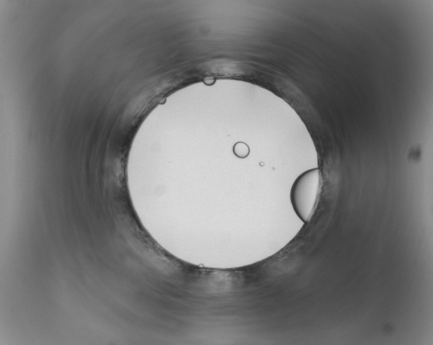 X0000111670330200908281117