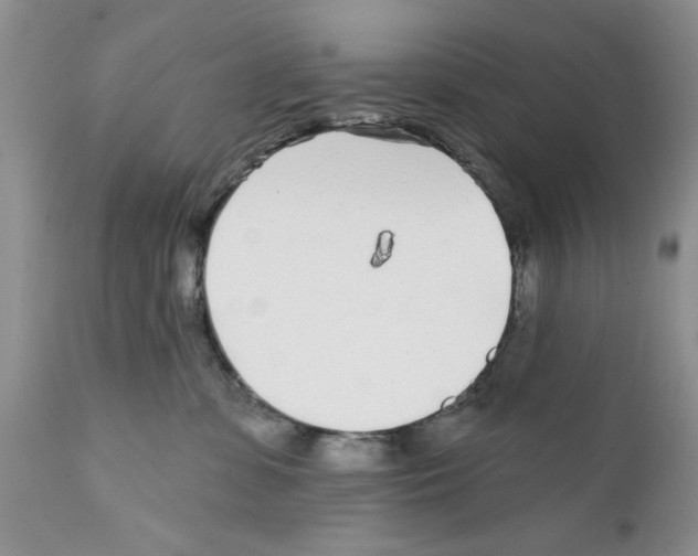 X0000111670331200908281117