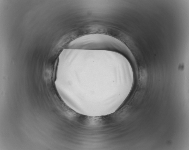 X0000111670333200908281117