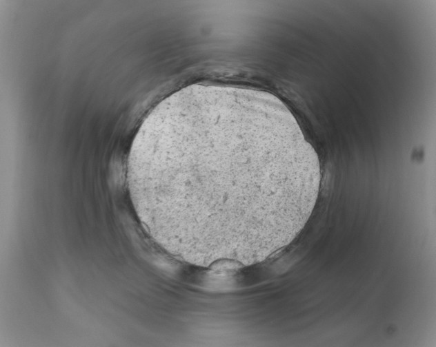 X0000111670335200908281117