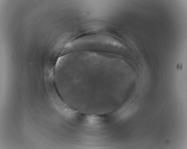 X0000111670336200908281117