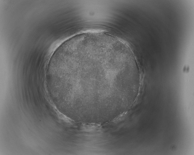 X0000111670337200908281116