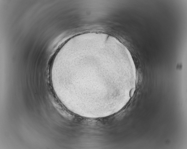 X0000111670339200908281116