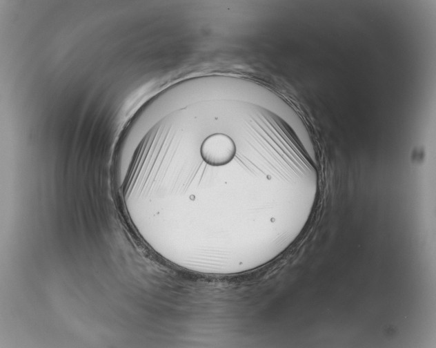 X0000111670340200908281116