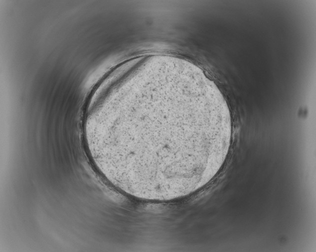 X0000111670341200908281116