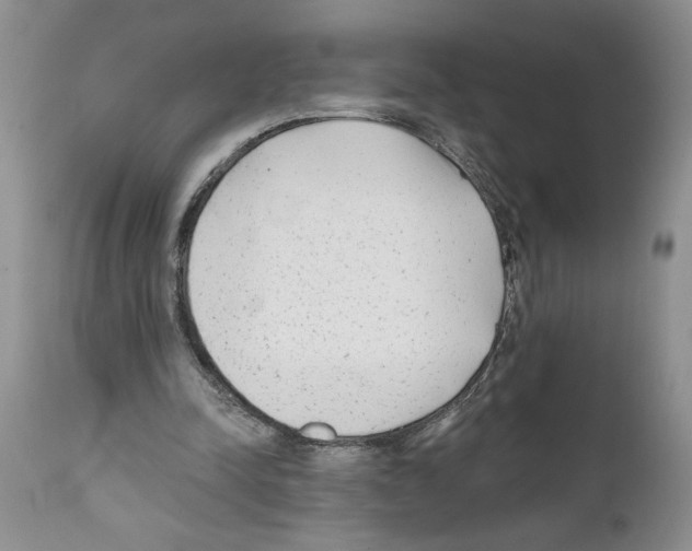 X0000111670342200908281116