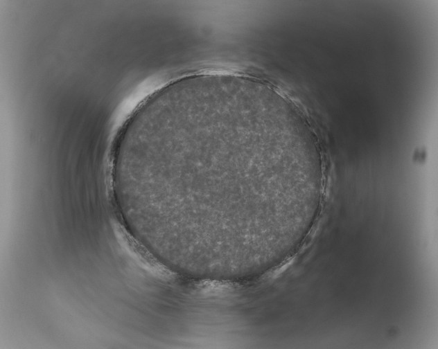 X0000111670343200908281116