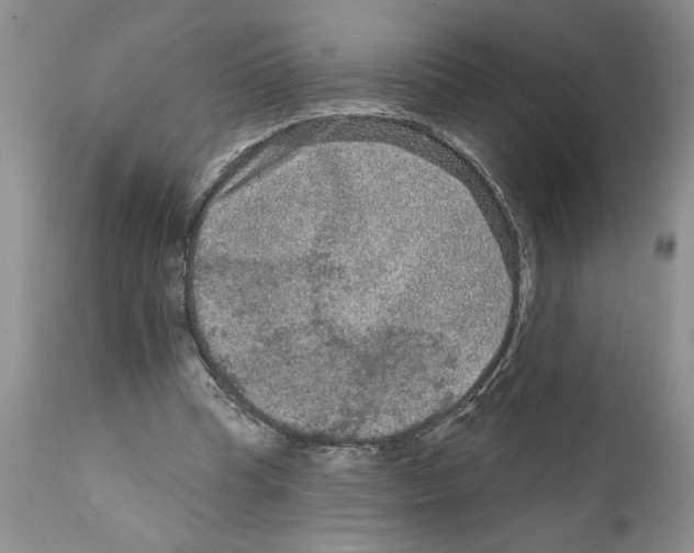 X0000111670345200908281116