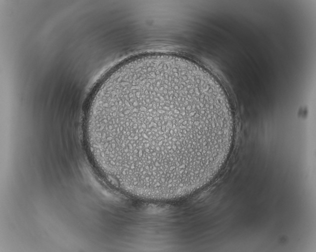 X0000111670346200908281116