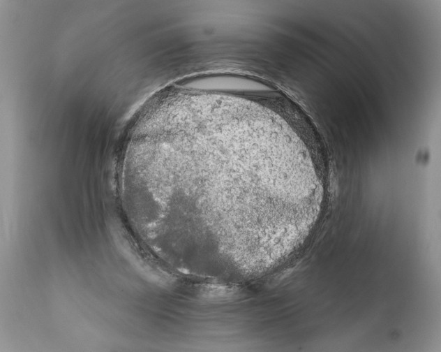 X0000111670347200908281116