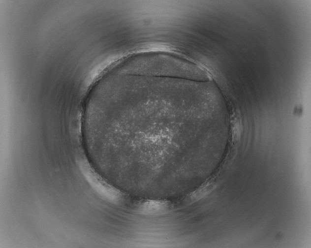 X0000111670350200908281116