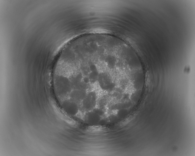 X0000111670351200908281116