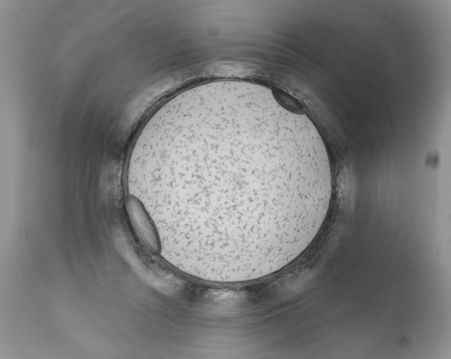 X0000111670352200908281116