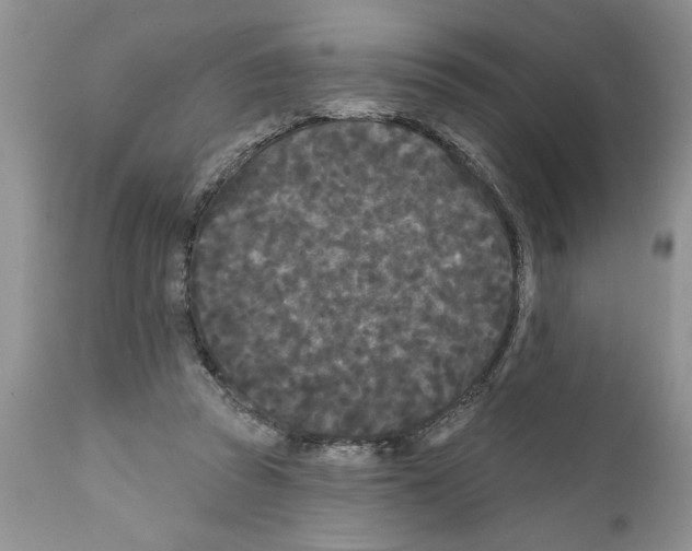 X0000111670353200908281116