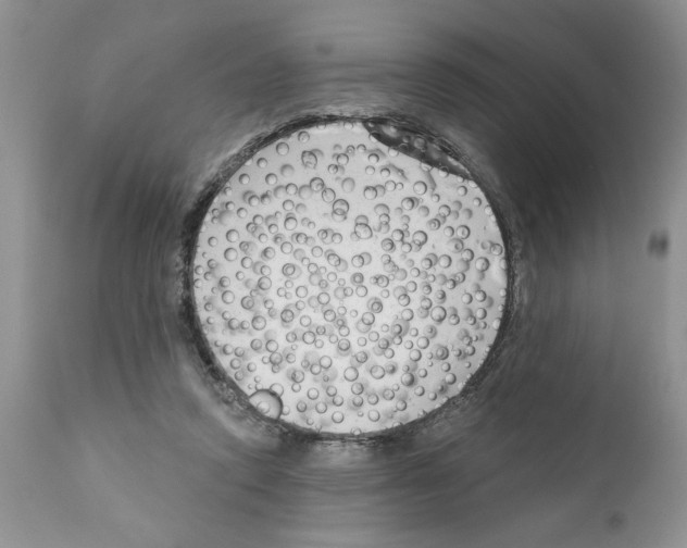 X0000111670354200908281116