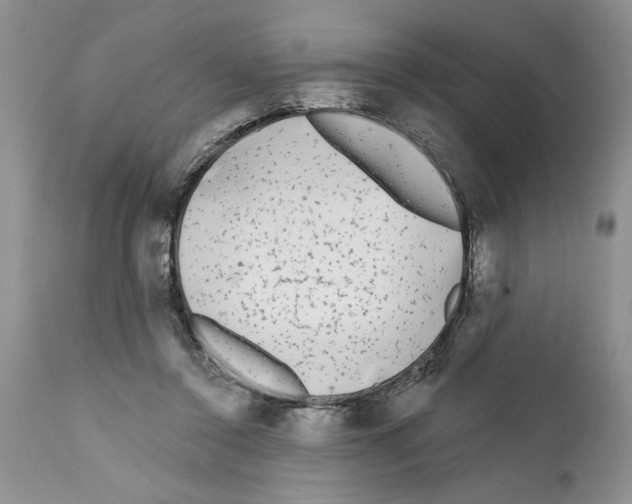 X0000111670356200908281117