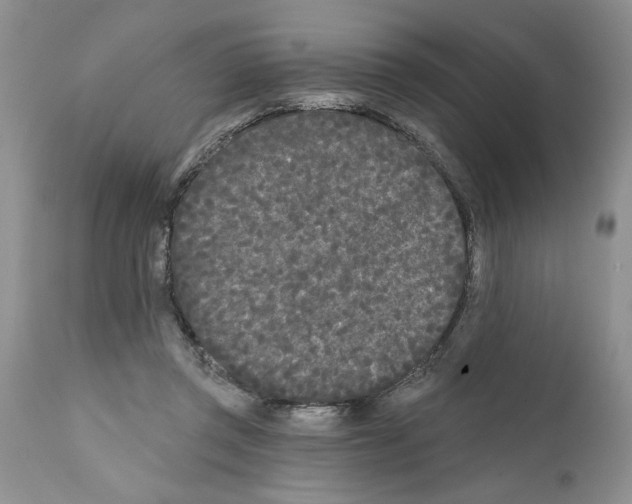 X0000111670357200908281117