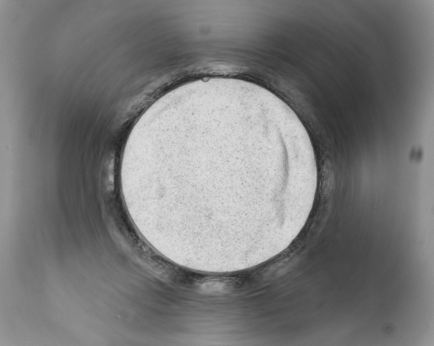 X0000111670358200908281117