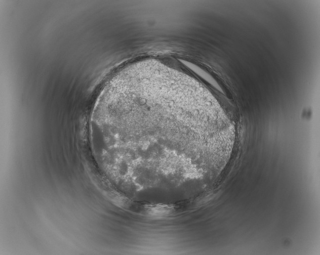 X0000111670359200908281117