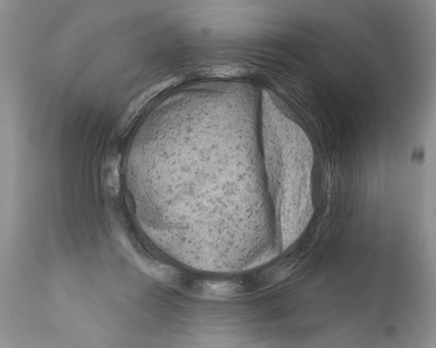 X0000111670360200908281117