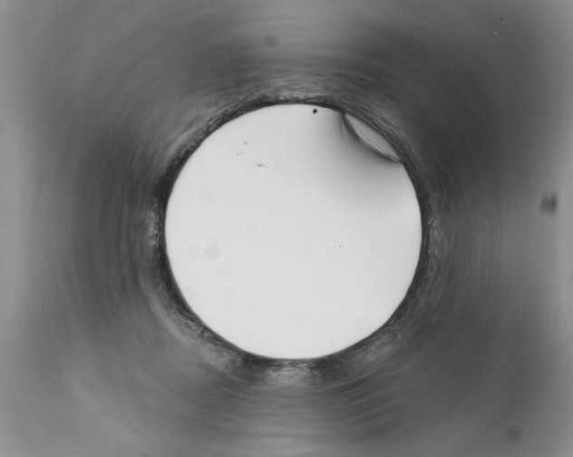 X0000111670362200908281117