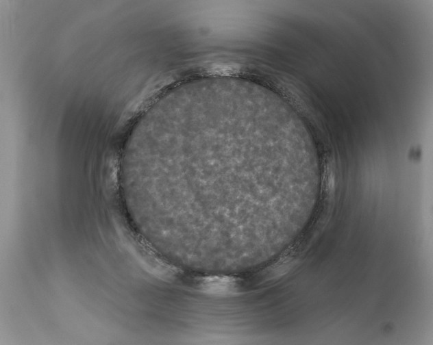 X0000111670363200908281117