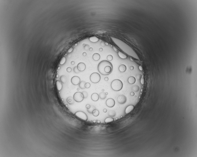 X0000111670366200908281117