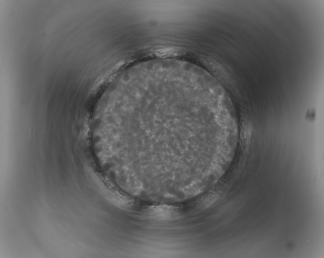 X0000111670367200908281117