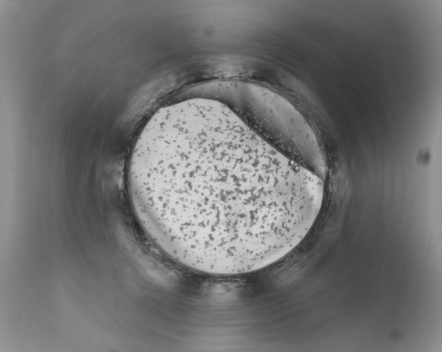 X0000111670368200908281117