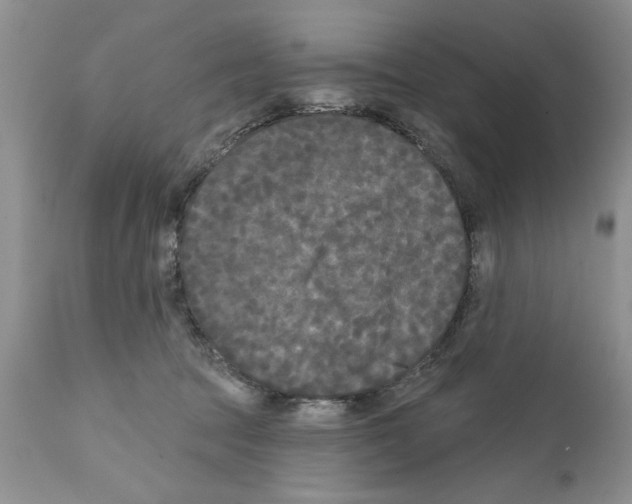 X0000111670369200908281117