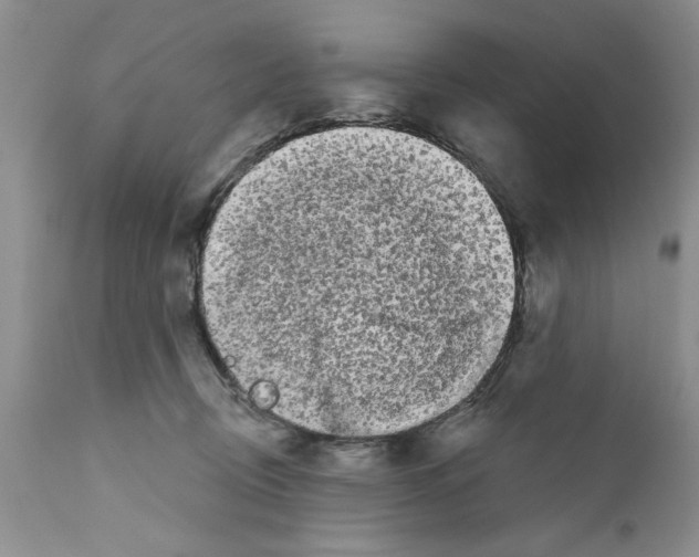 X0000111670370200908281117