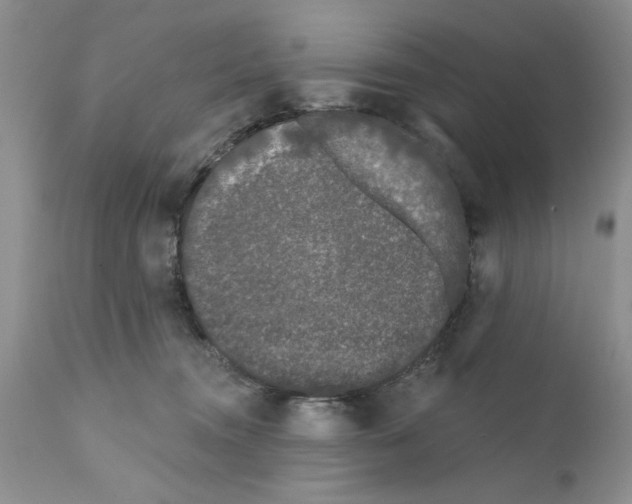 X0000111670372200908281117