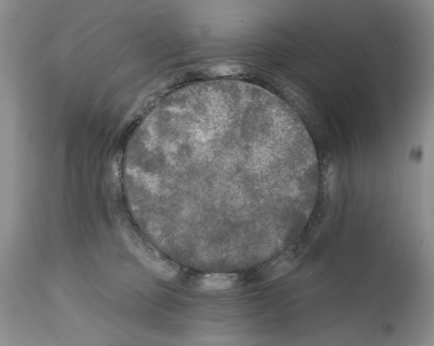 X0000111670373200908281117