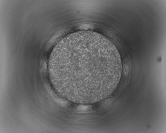 X0000111670375200908281117