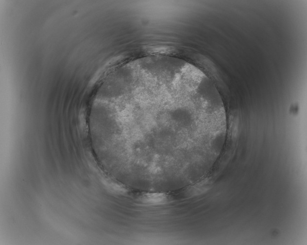 X0000111670377200908281117