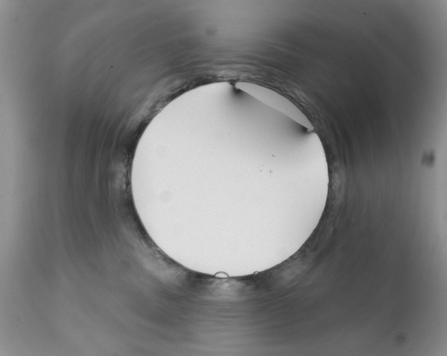 X0000111670379200908281117