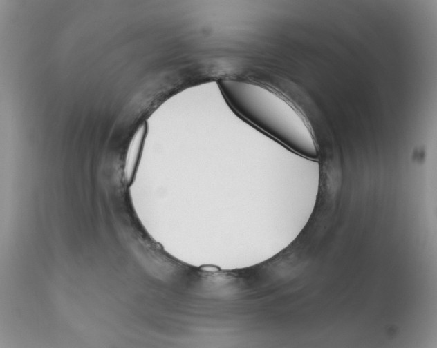 X0000111670380200908281117