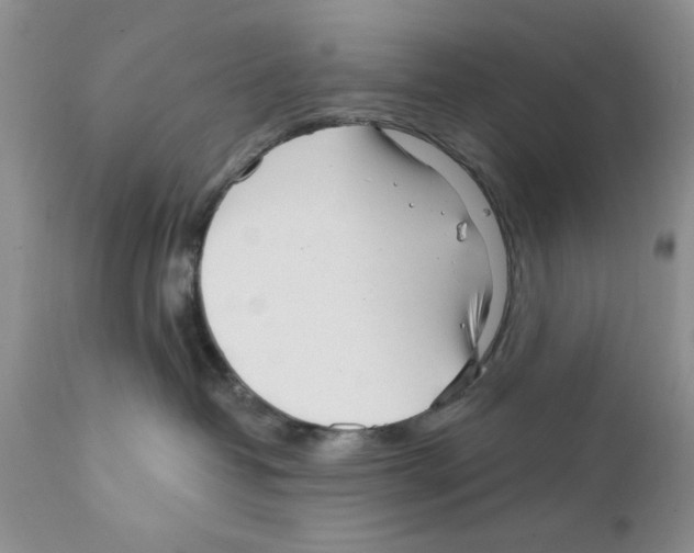 X0000111670382200908281117